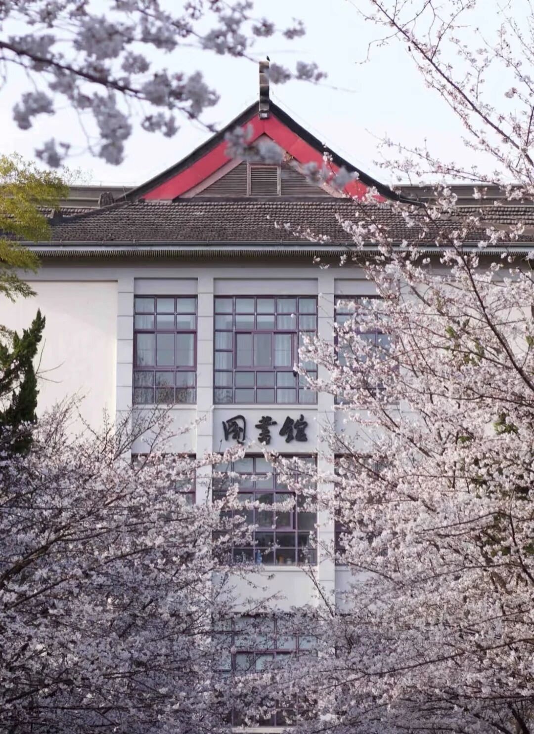 微信图片_2026-04-22_100133_476.jpg